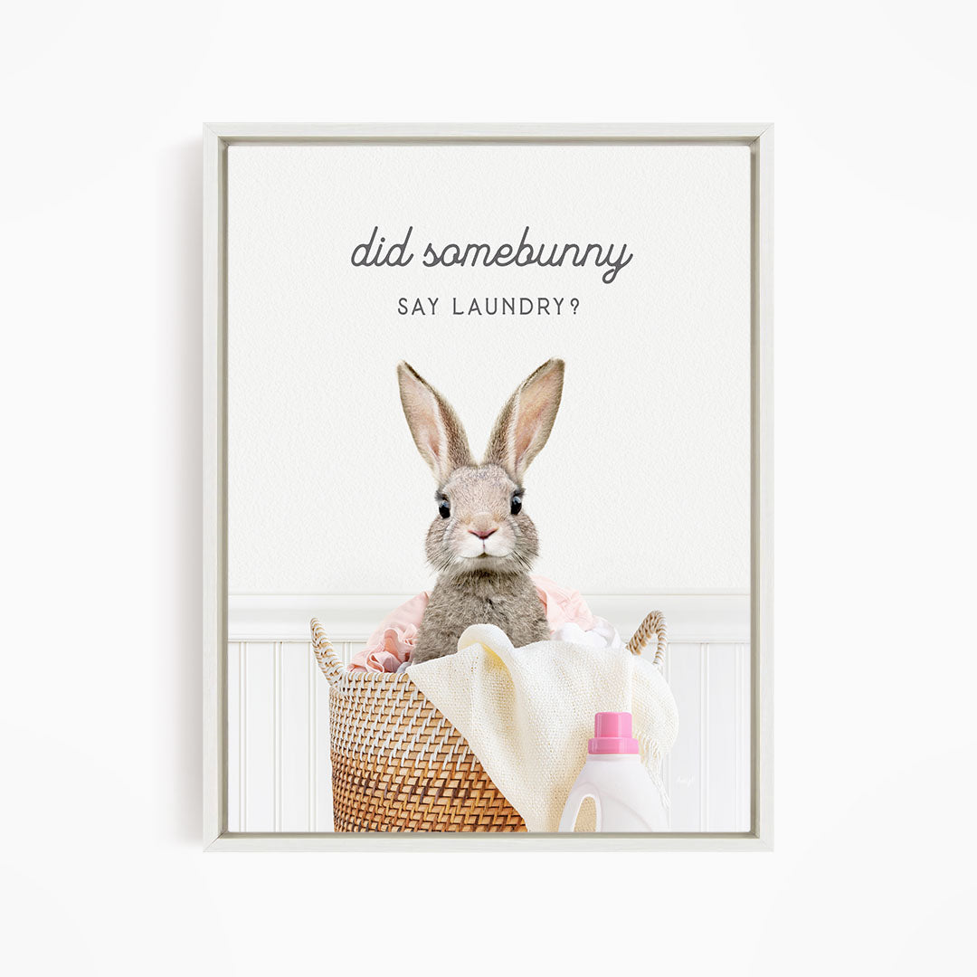 Rabbit - Did Somebunny Say Laundry?