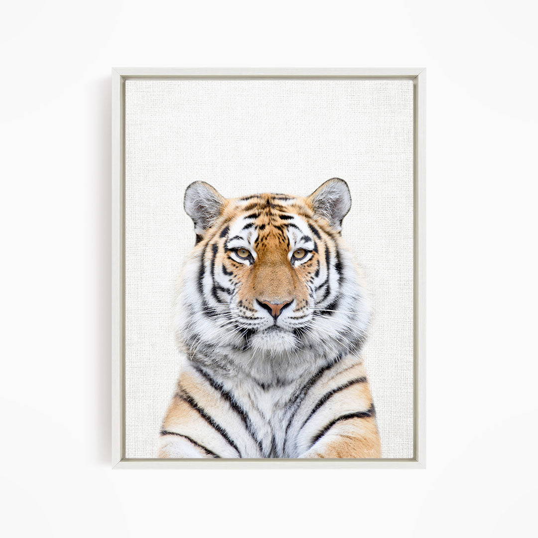 Bengal Tiger - Animal Portraits