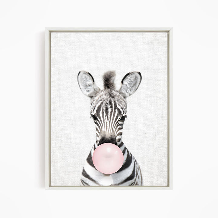 Baby Zebra Blowing Pink Bubble Gum