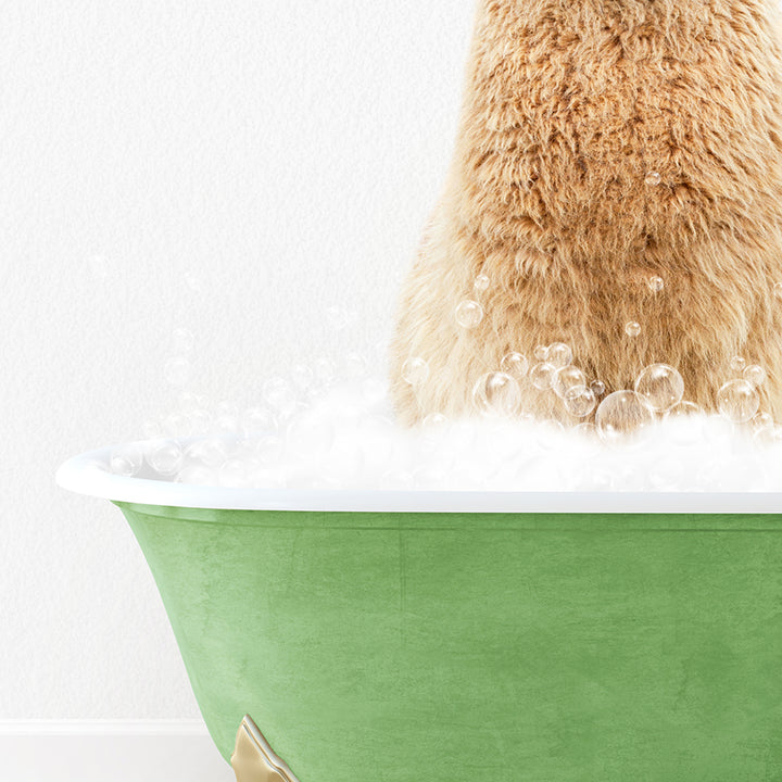 a brown bear sitting in a green bath tub