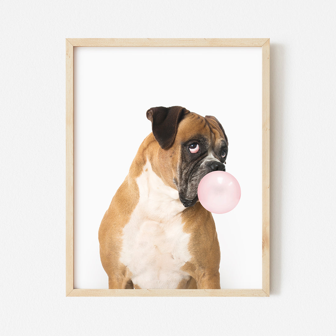 a brown and white dog with a pink bubble in it's mouth