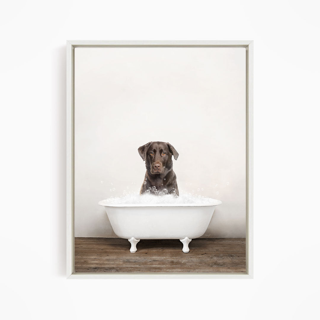 A brown dog sitting in a white bathtub filled with bubbles, looking directly at the camera.