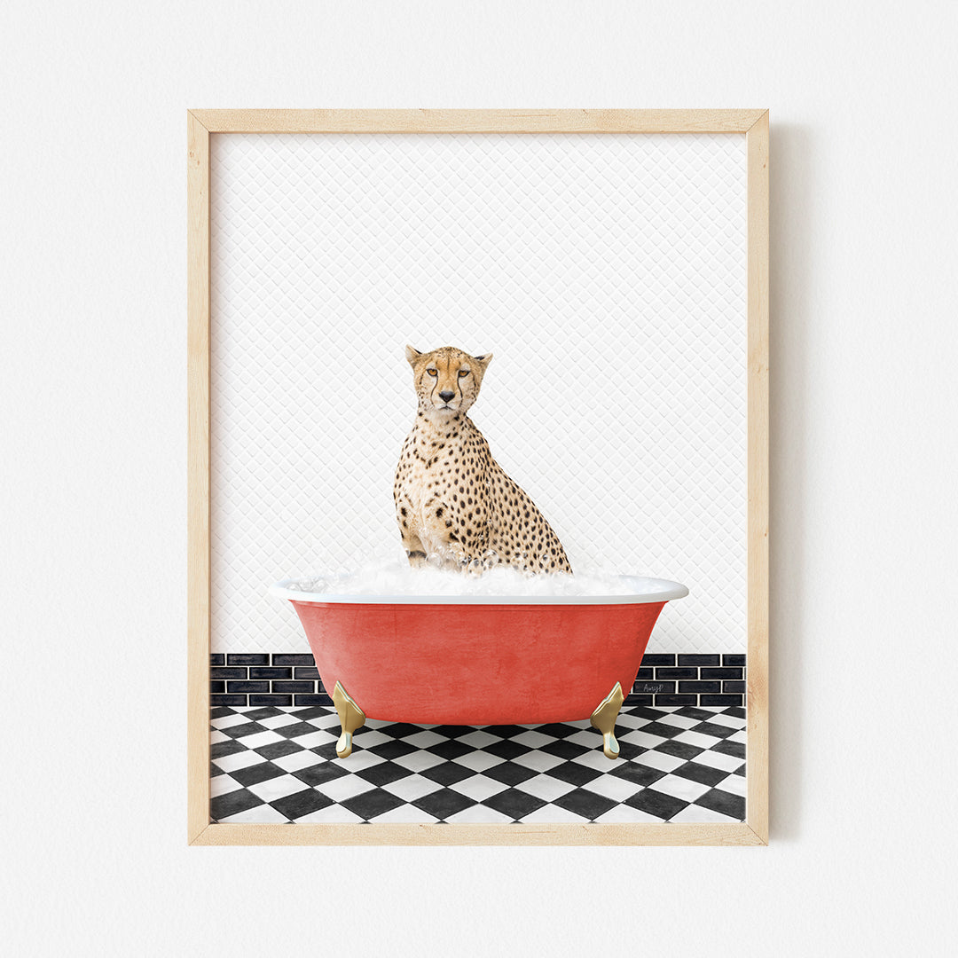 a picture of a cheetah sitting in a bathtub