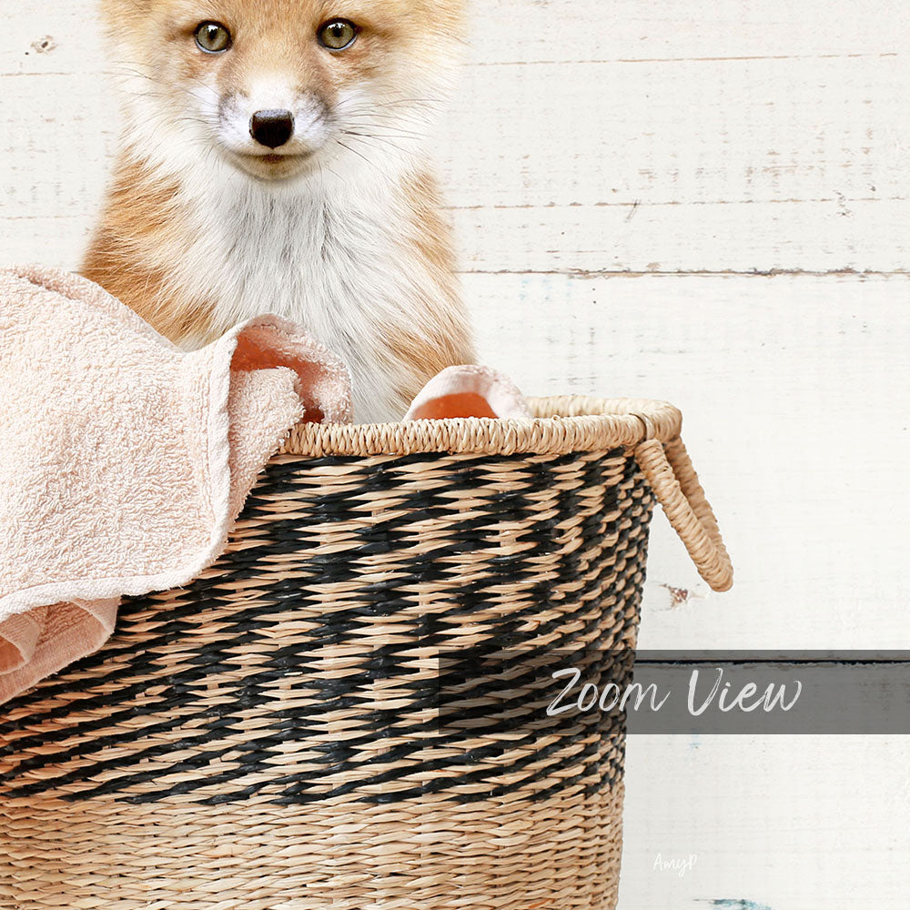 A young fox sits in a woven basket, its eyes focused and alert.
