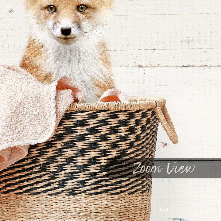 A young fox sits in a woven basket, its eyes focused and alert.