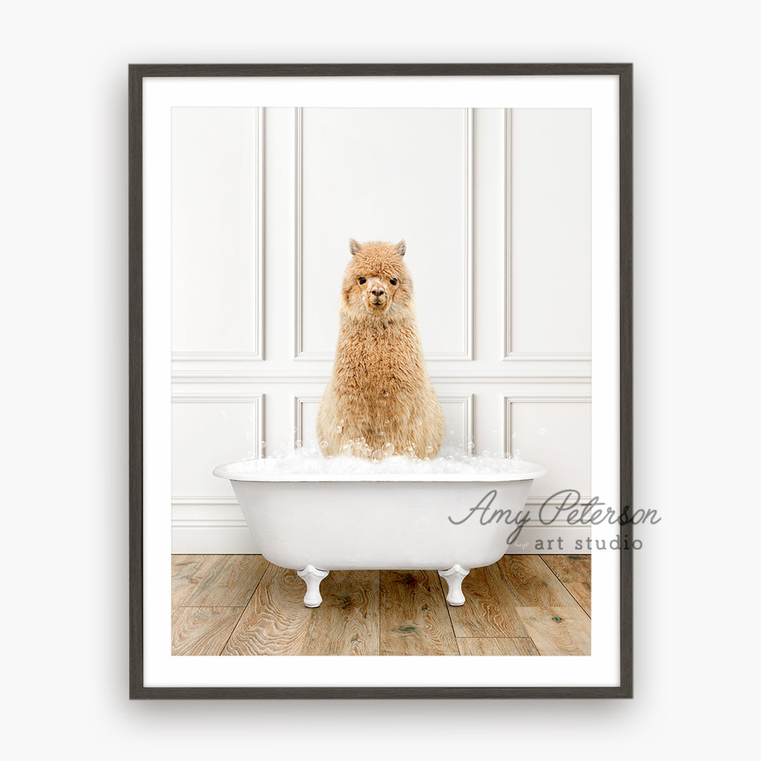 a dog sitting in a bathtub with a white wall behind it