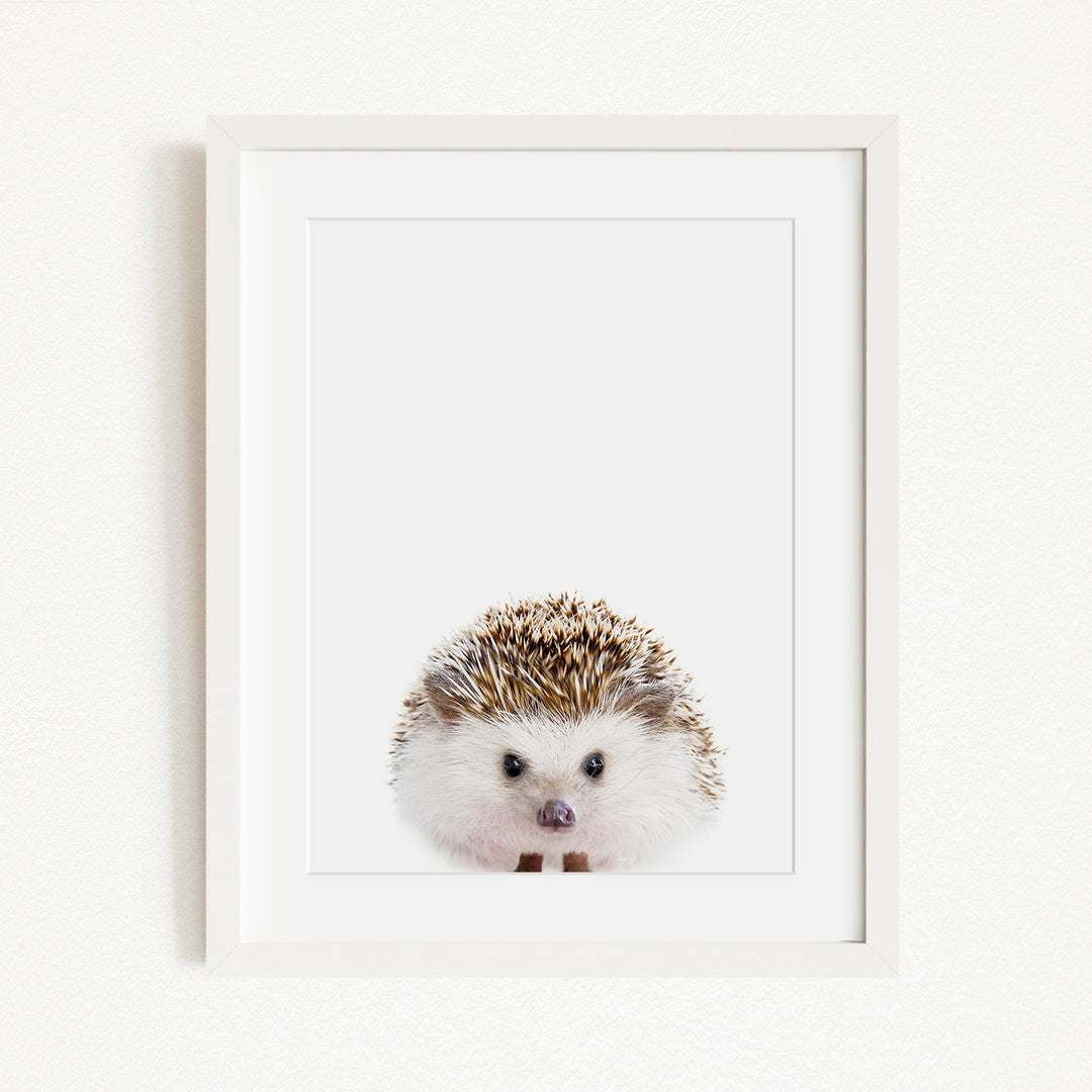 A cute hedgehog peeking out from behind a white frame.