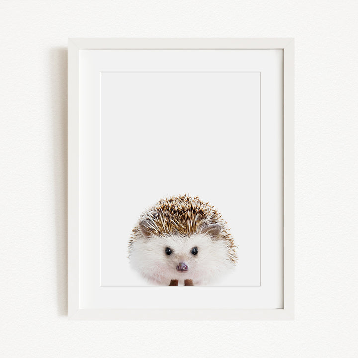 A cute hedgehog peeking out from behind a white frame.