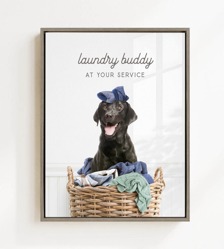 A black dog wearing a blue hat sits in a wicker basket filled with clothes, with the text "laundry buddy at your service" displayed above the image.