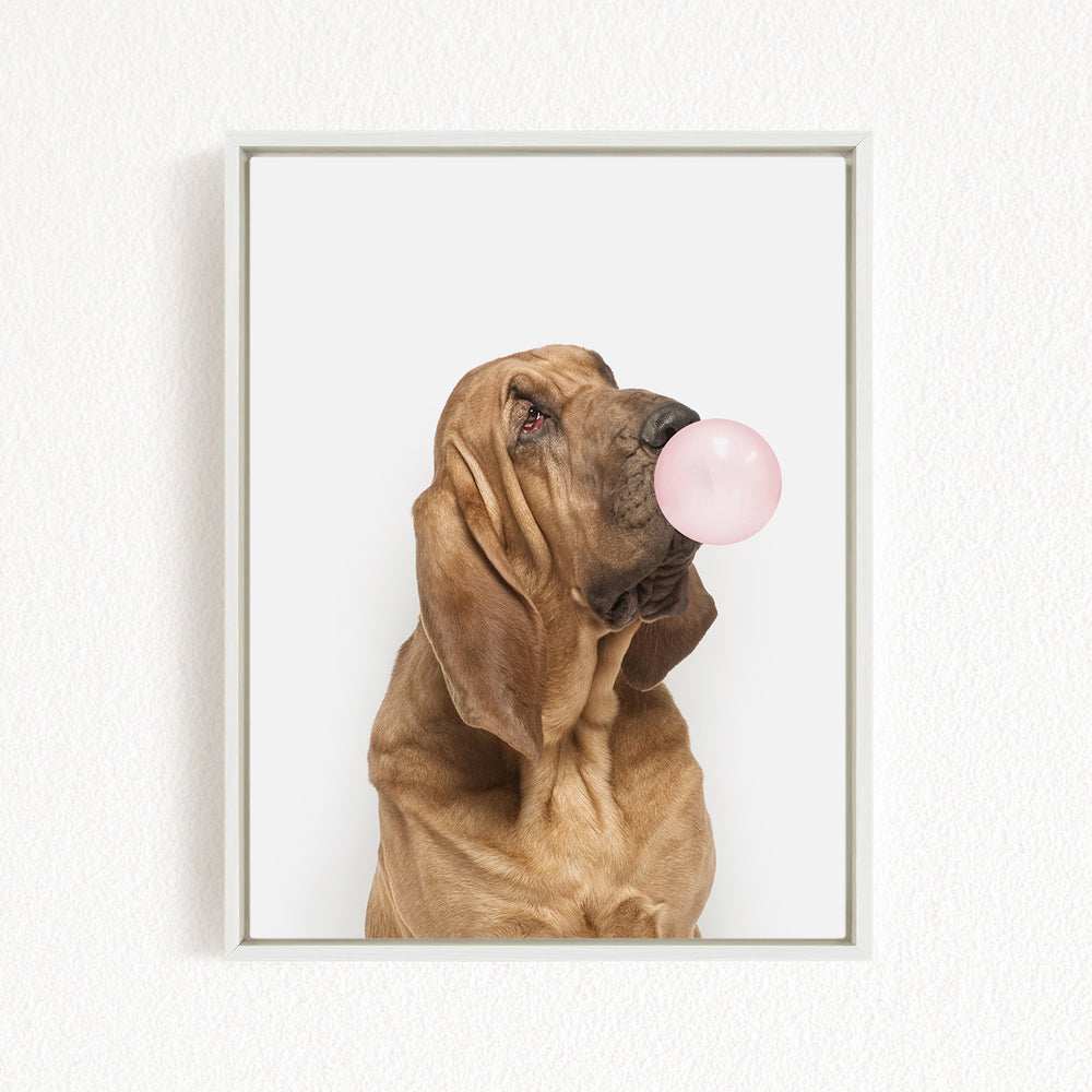 A brown dog is blowing a pink bubble with its mouth, looking up at the camera.