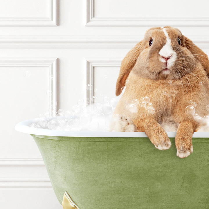 a rabbit sitting in a bathtub full of bubbles