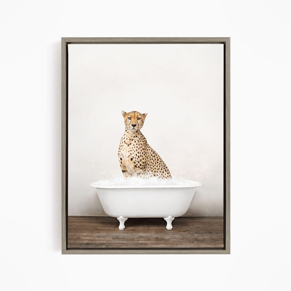 A cheetah sitting in a white bathtub filled with water.