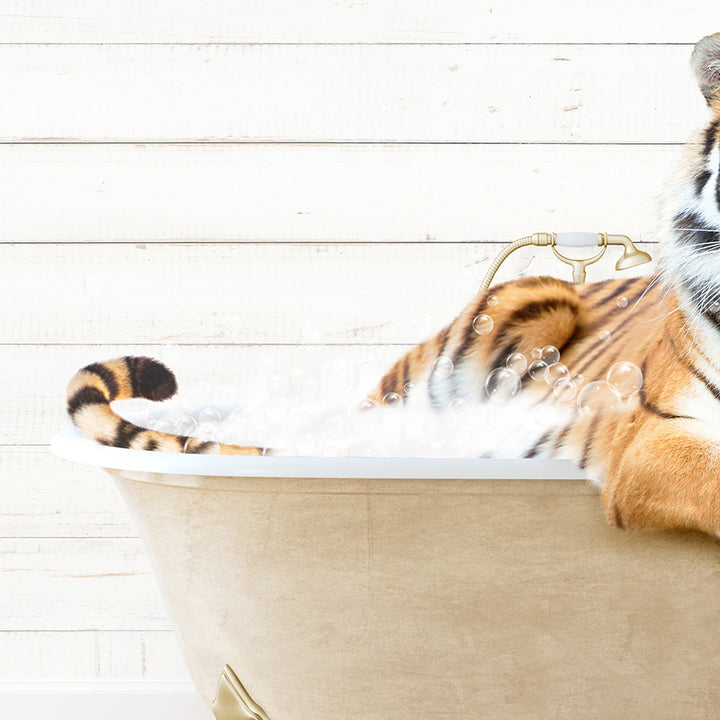 a tiger laying in a bath tub with foam