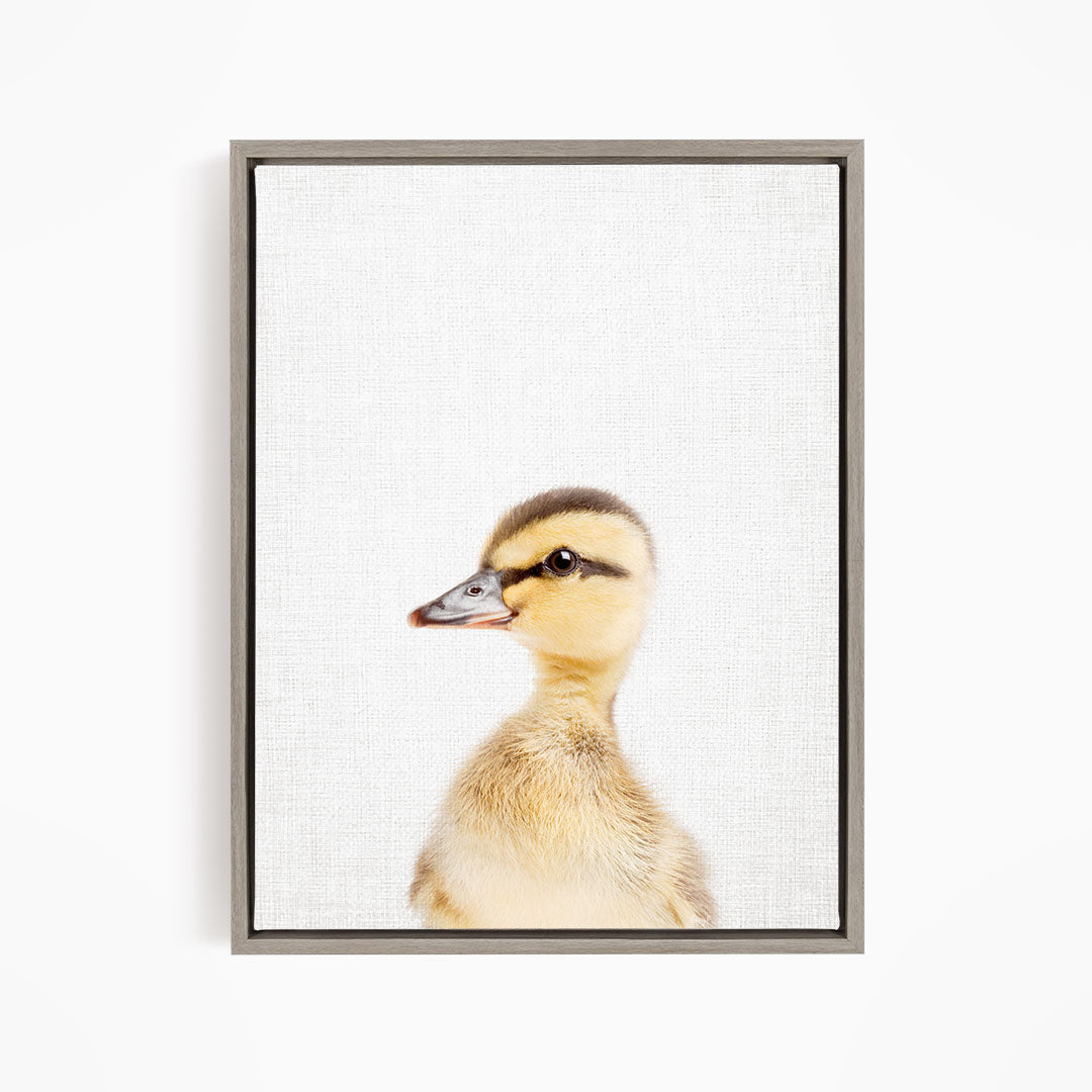 A young duckling with a yellow and brown coat is the focus of the image, captured in a close-up portrait against a plain white background.