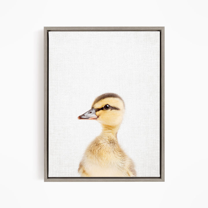A young duckling with a yellow and brown coat is the focus of the image, captured in a close-up portrait against a plain white background.