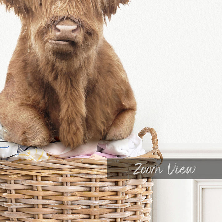 A brown cow is sitting in a wicker basket, with the word "Zoom View" written below the basket.