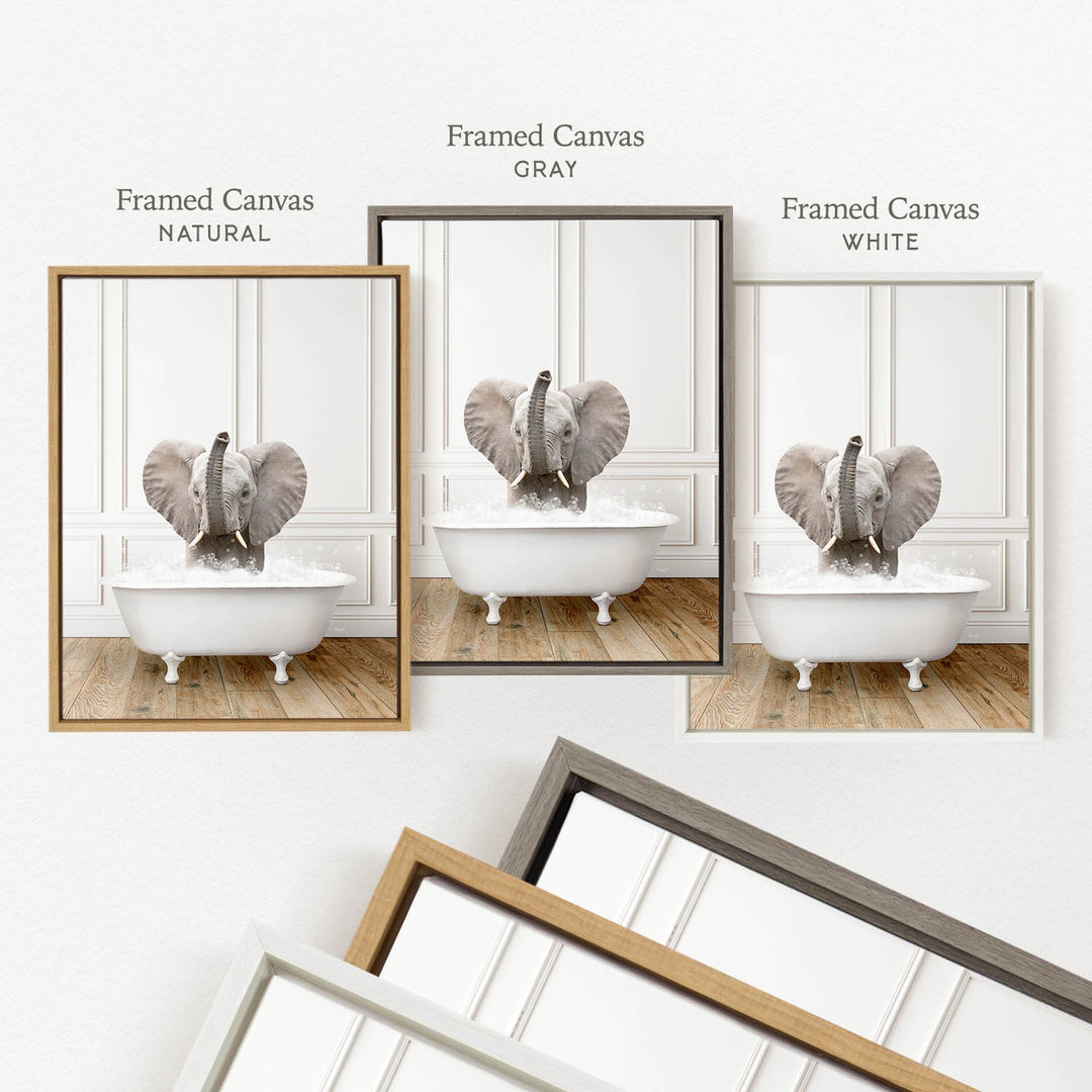 three framed pictures of an elephant sitting in a bathtub, each with a different color frame.