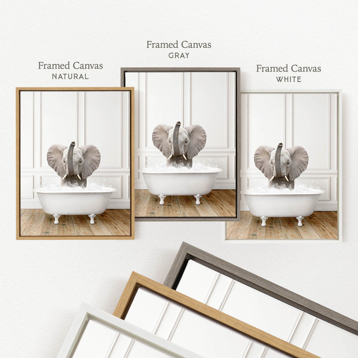 three framed pictures of an elephant sitting in a bathtub, each with a different color frame.