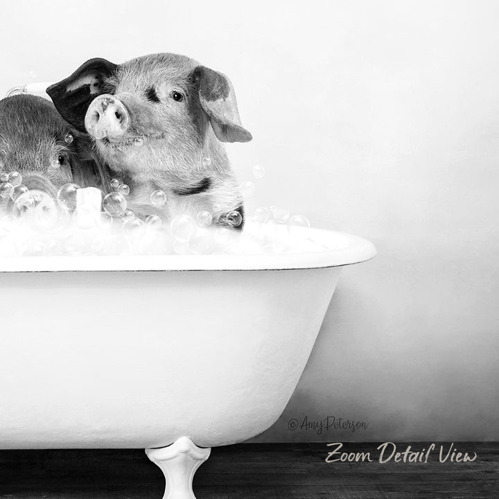 A black and white image of two pigs sitting in a bathtub filled with bubbles.