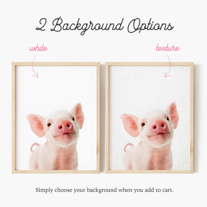 a picture of a pig with two different expressions