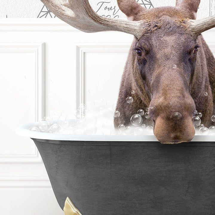 a moose is taking a bath in a bathtub