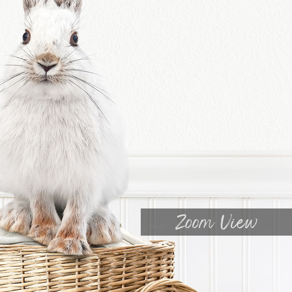 A fluffy white rabbit sits on a woven basket, looking directly at the camera.