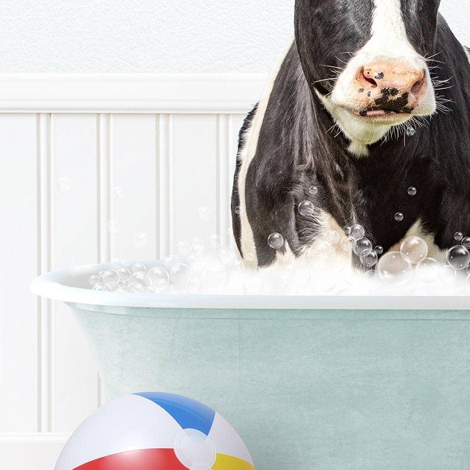 a black and white cow in a bathtub with bubbles