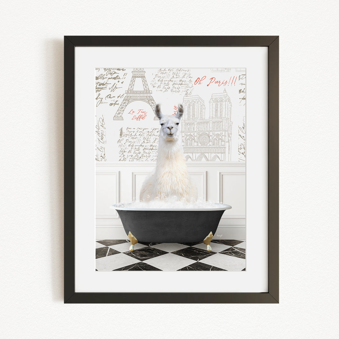 A white llama sitting in a black bathtub, with a framed picture of the Eiffel Tower in the background.