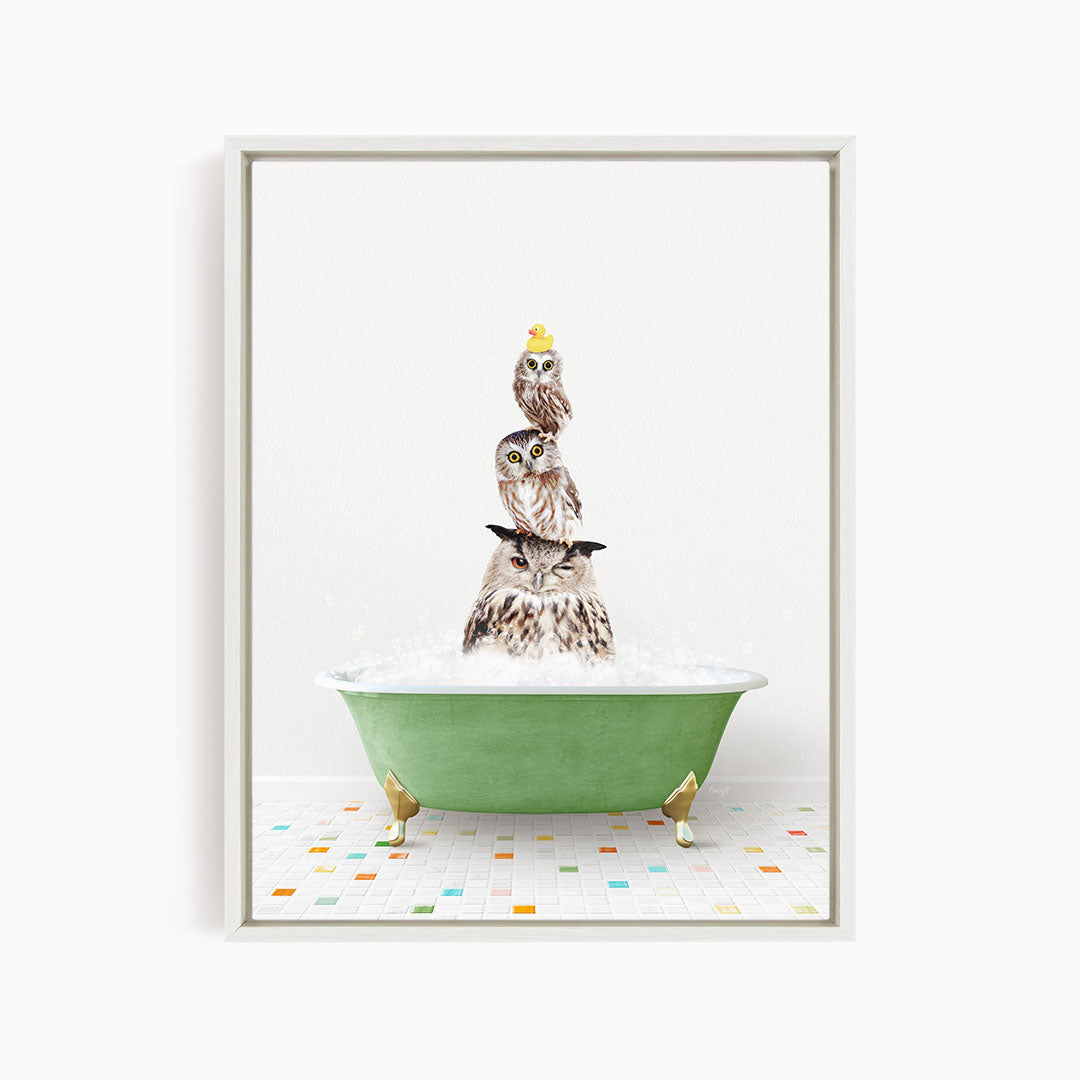 A framed image depicting three owls sitting in a green bathtub filled with bubbles, with one of the owls wearing a yellow hat.