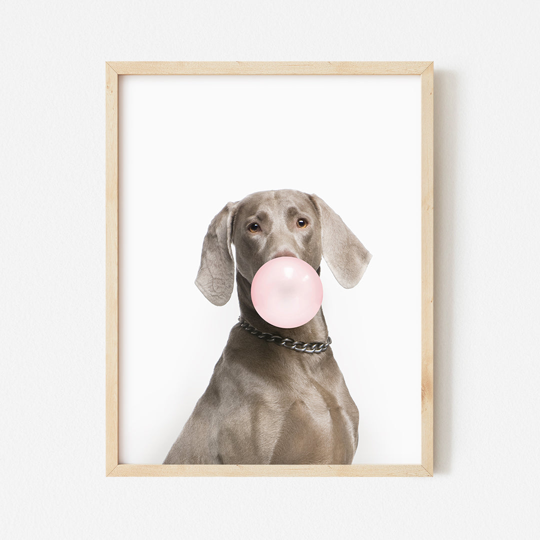 a picture of a dog with a pink bubble in it's mouth