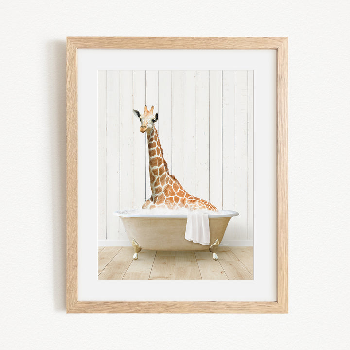 A giraffe sitting in a bathtub filled with water, with a towel draped over its back.