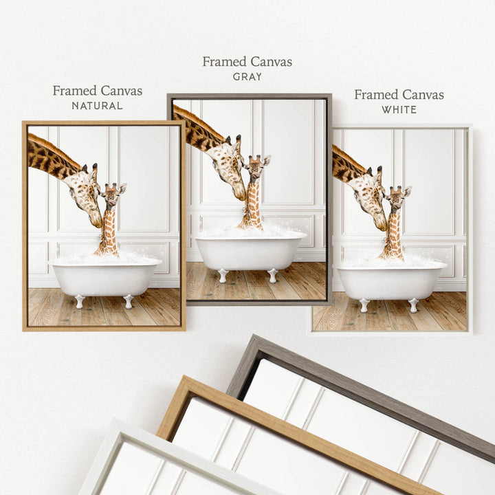 three framed pictures of giraffes in bathtubs, each with a different color frame.