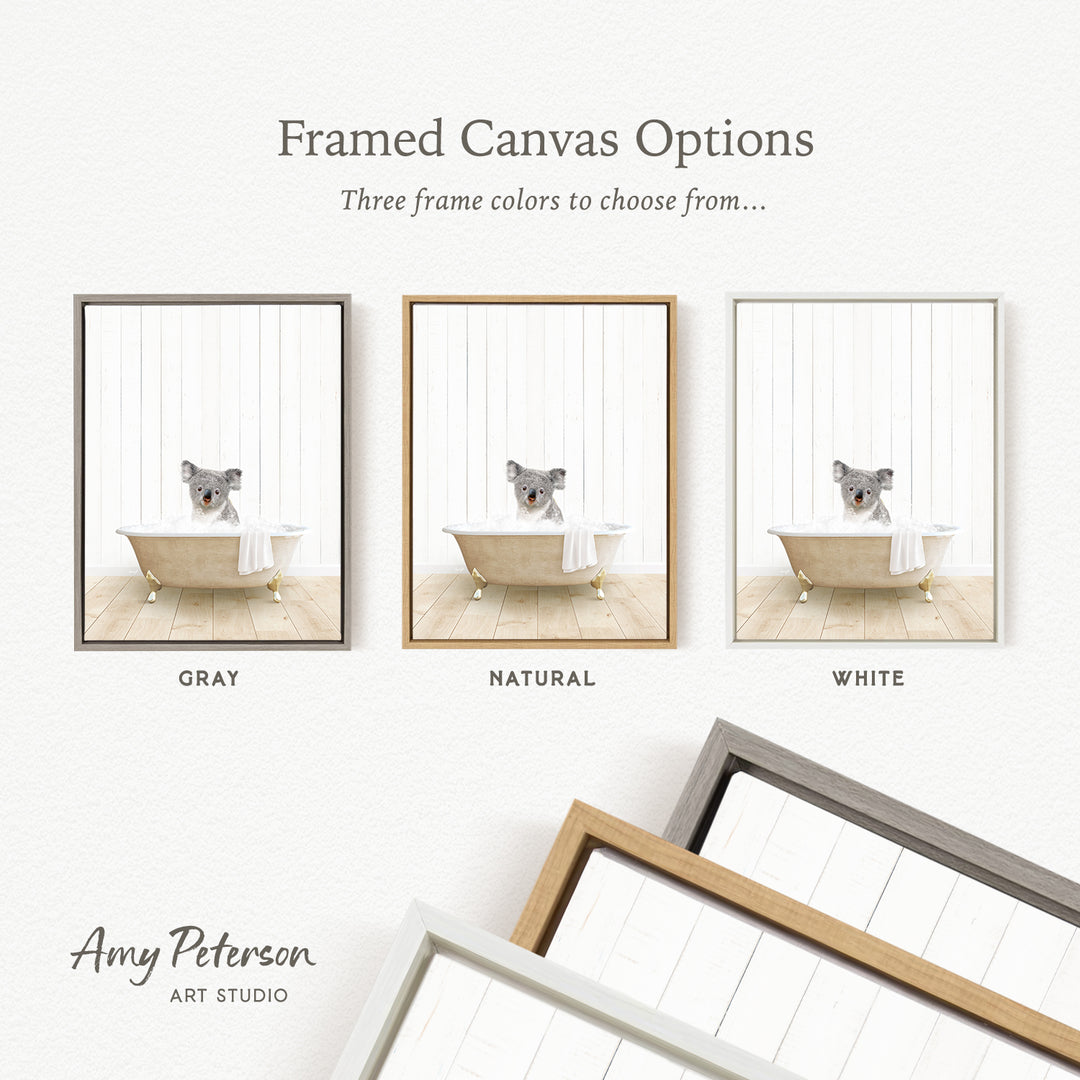 three framed canvas options, each featuring a koala bear in a bathtub. The options include a gray frame, a natural frame, and a white frame. The text above the images reads " framed Canvas Options" and "Three frame colors to choose from...".