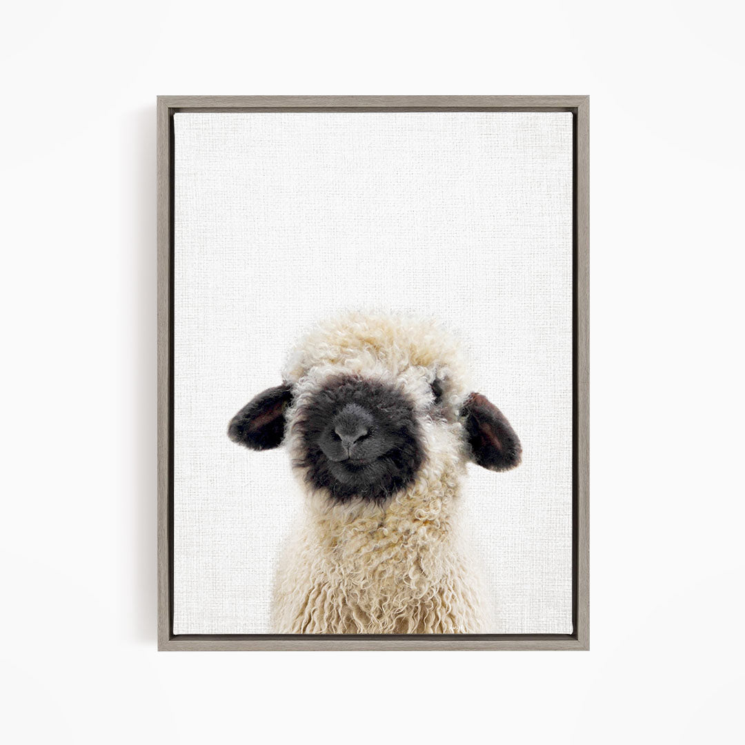 A fluffy white sheep with black markings on its face and ears is the main subject of the image.
