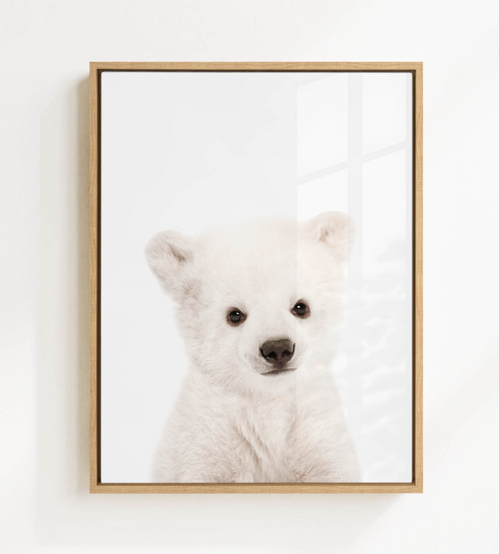 A cute white polar bear cub with large eyes and a black nose is the focus of the framed image.