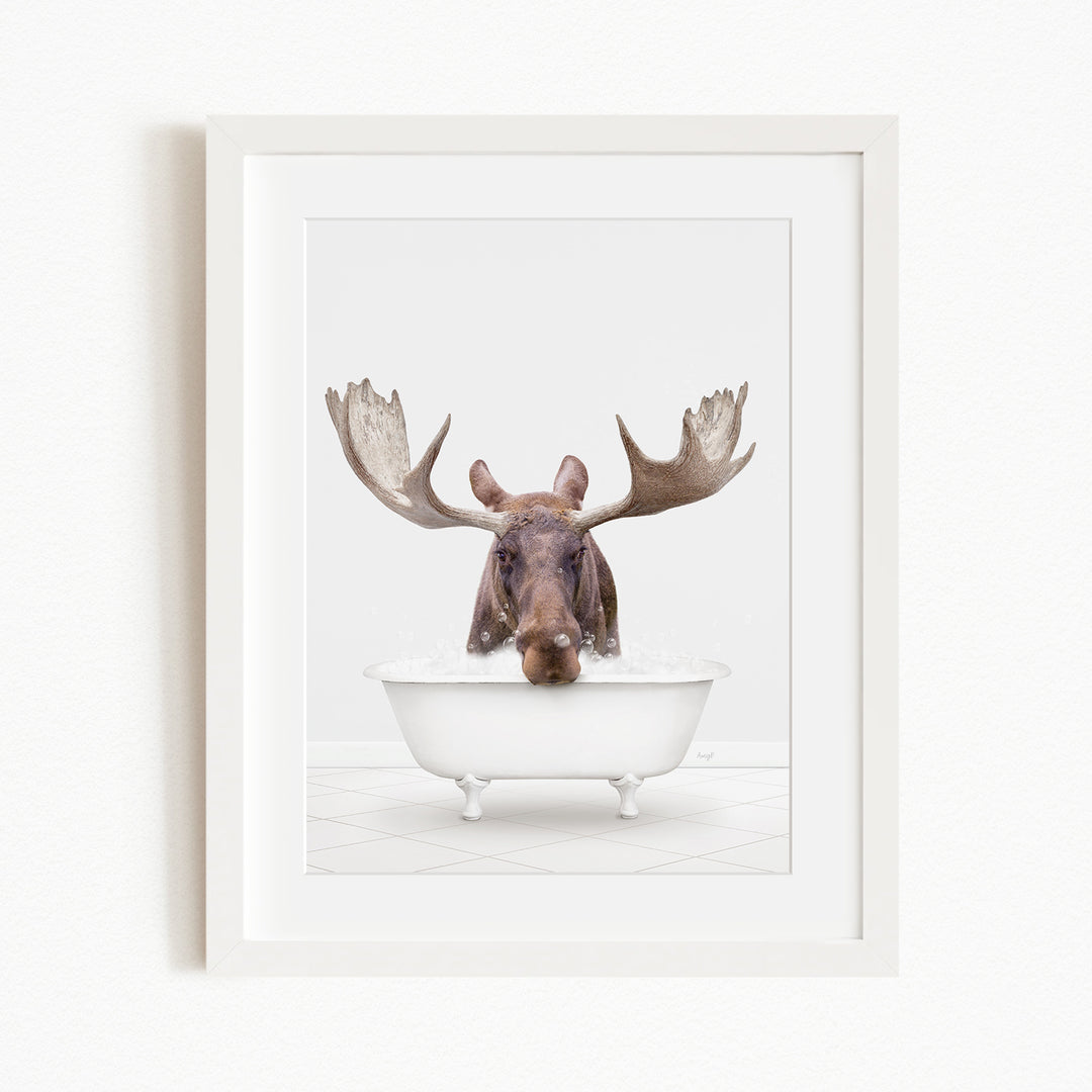 A moose with large antlers is sitting in a white bathtub, appearing to be enjoying a bath.