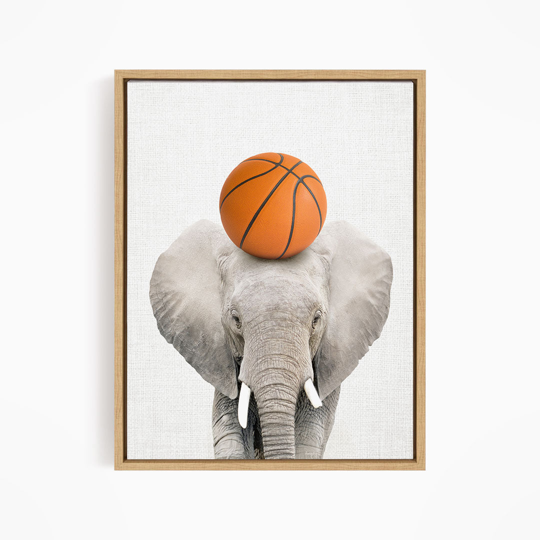 A gray elephant balances an orange basketball on its head.