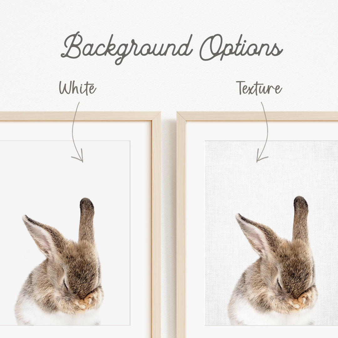 a close-up of a rabbit's head, with a focus on its ears and eyes.