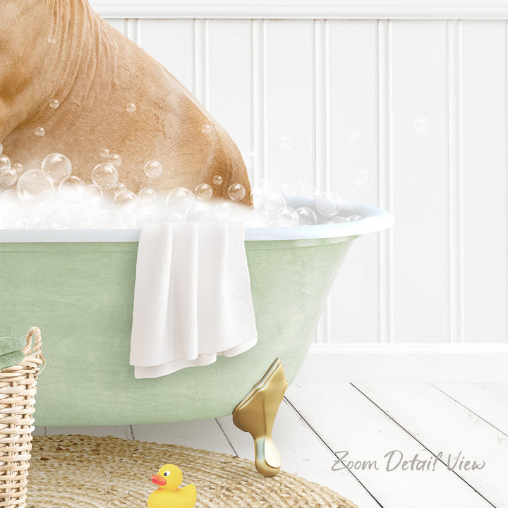 A dog is taking a bath in a green bathtub, surrounded by bubbles and a towel, with a rubber duck nearby.