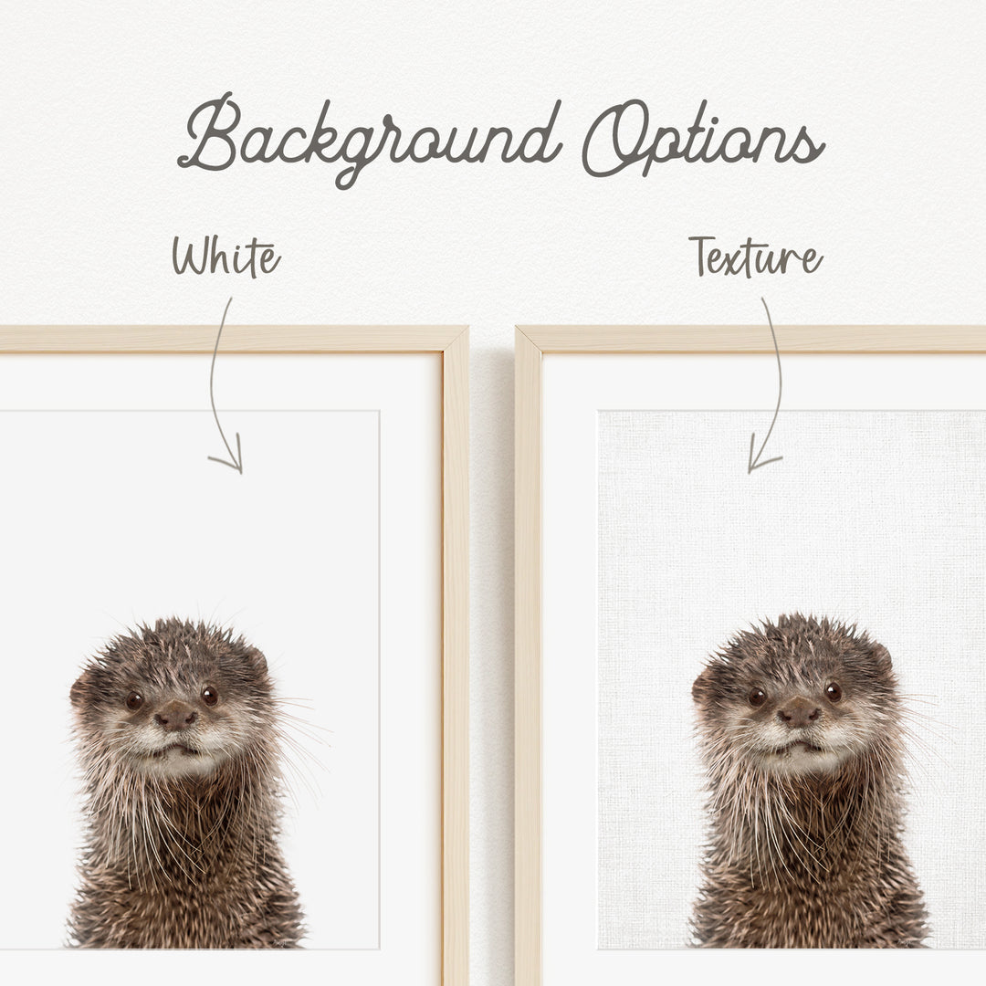 an otter with a white background, and there are two options for the background texture: white and a textured white background.