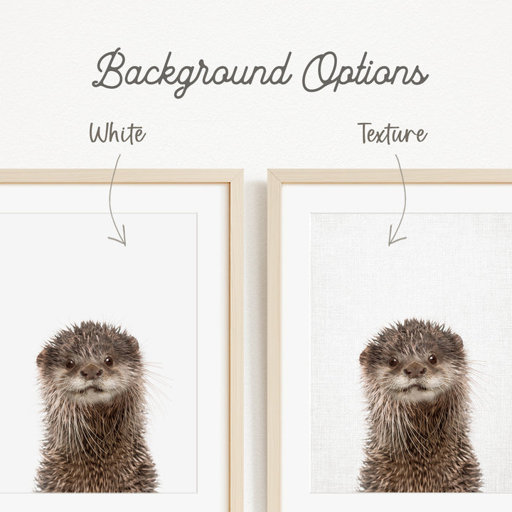 an otter with a white background, and there are two options for the background texture: white and a textured white background.