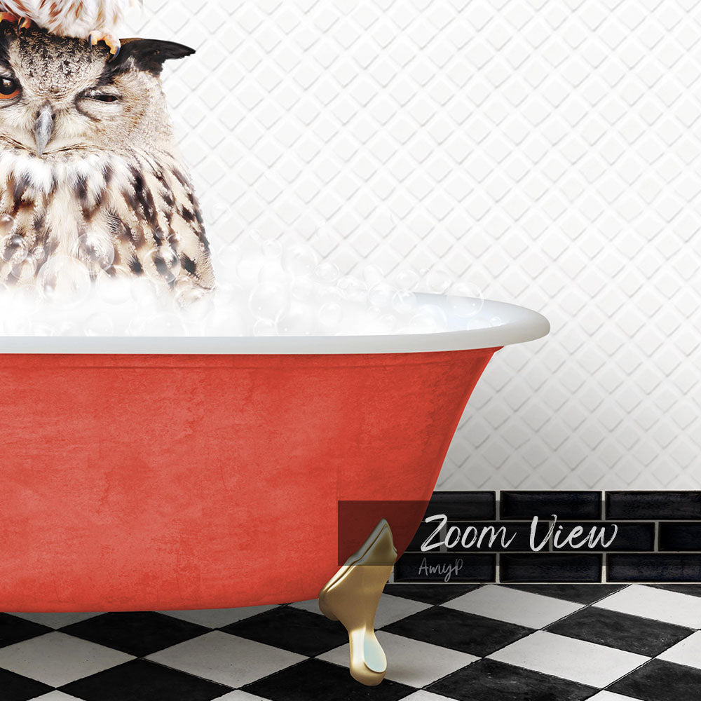 A red claw-foot bathtub filled with water, with an owl sitting inside and looking at the camera.