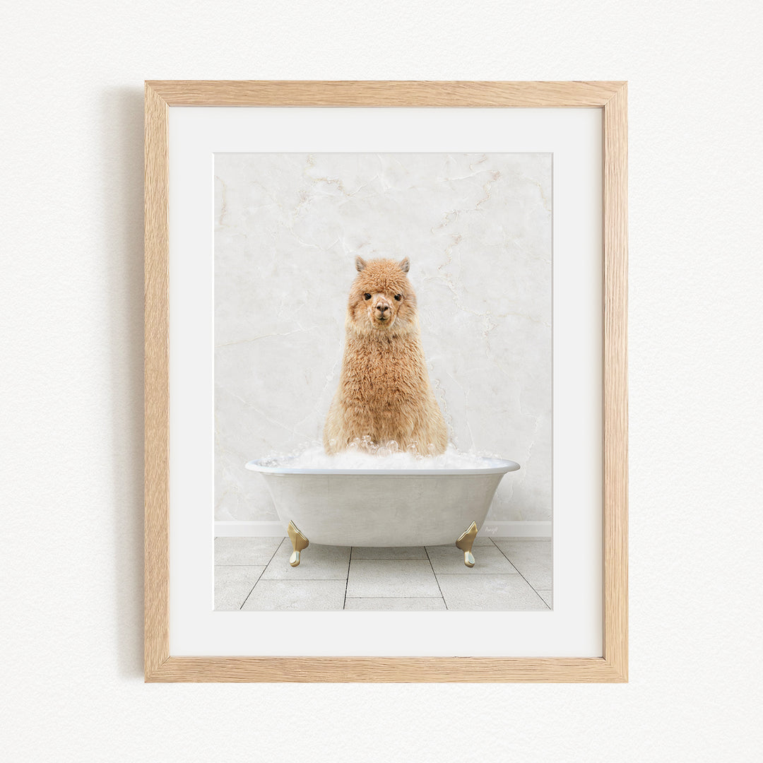 A fluffy brown dog sitting in a white bathtub filled with bubbles, looking directly at the camera.