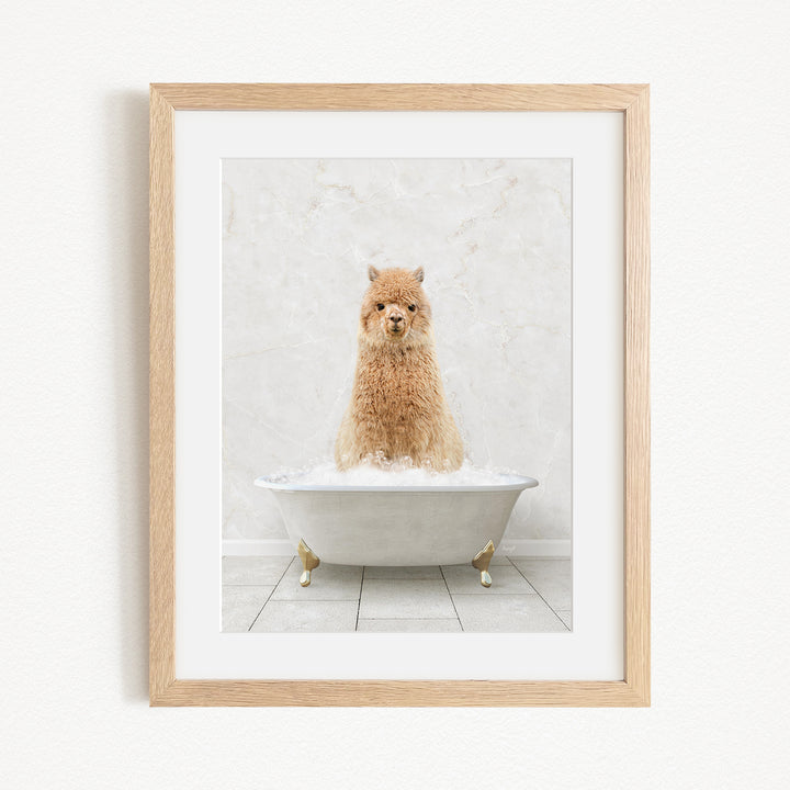 A fluffy brown dog sitting in a white bathtub filled with bubbles, looking directly at the camera.