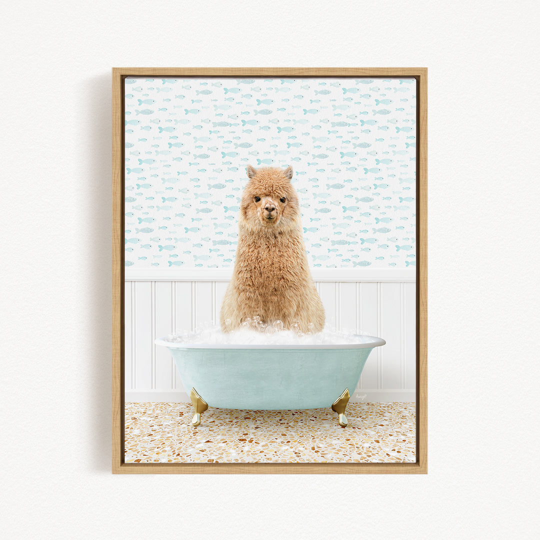 A fluffy brown dog sitting in a light blue bathtub filled with bubbles, with a patterned wall behind it.