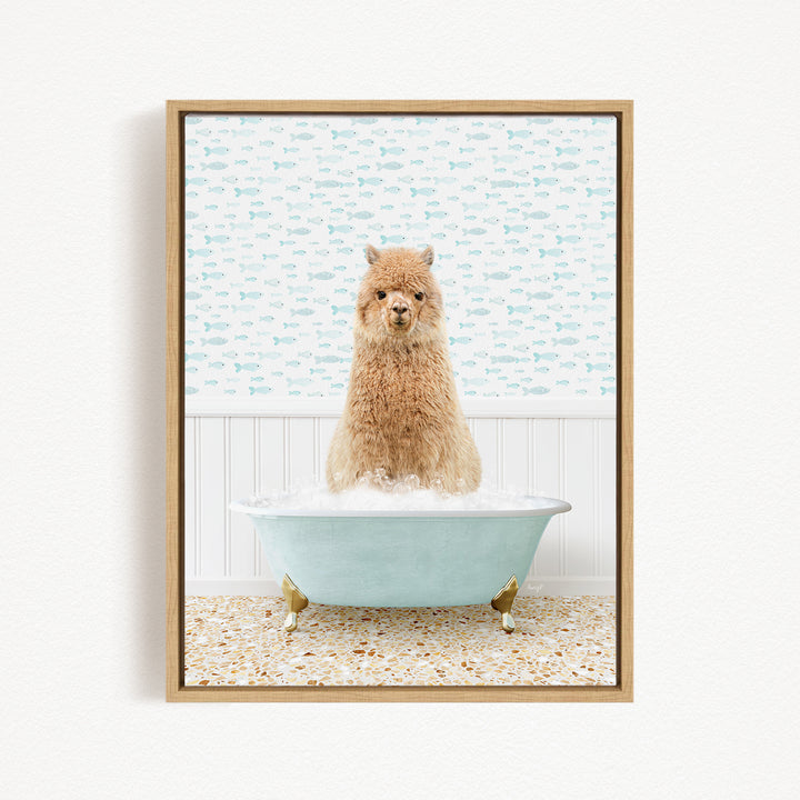 A fluffy brown dog sitting in a light blue bathtub filled with bubbles, with a patterned wall behind it.