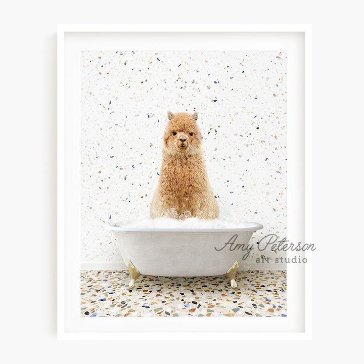 a brown dog sitting in a bath tub