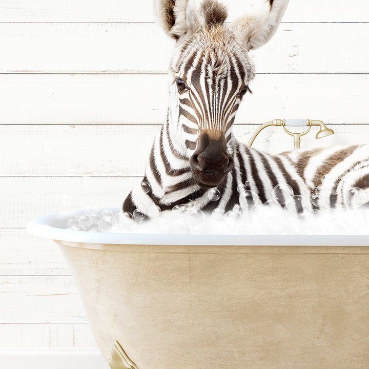 a baby zebra laying in a bath tub