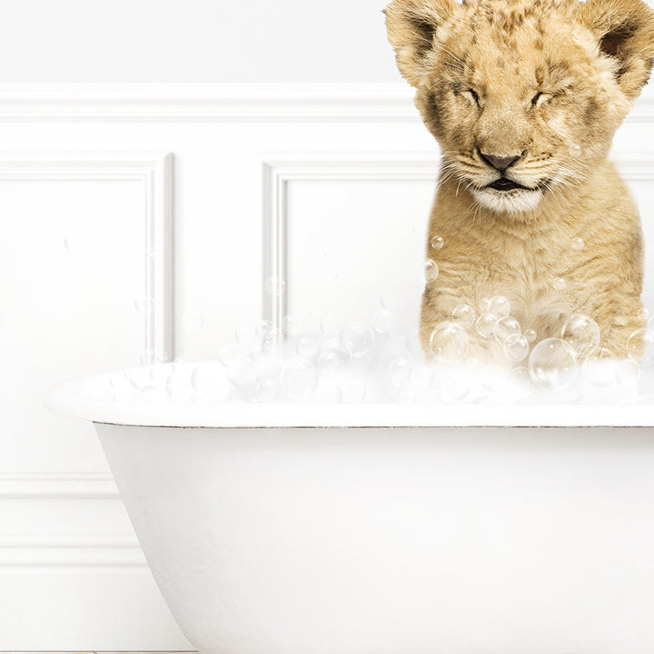 a young lion cub sitting in a bath tub