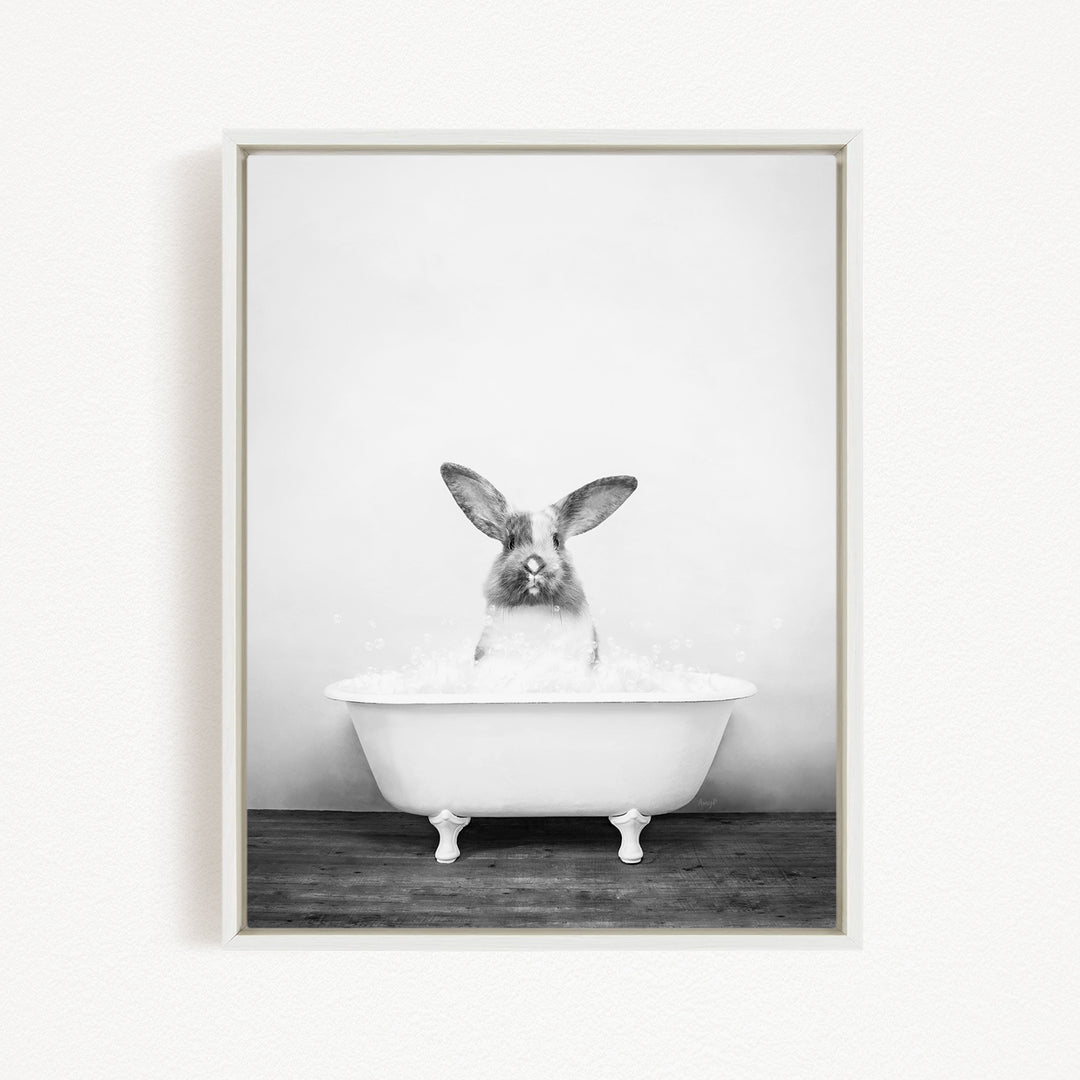 A rabbit sitting in a white bathtub filled with water, looking up at the camera.
